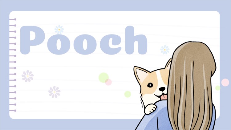 Pooch
